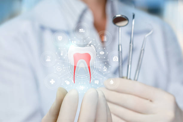 Best Dental Fillings (Composite and Amalgam)  in Magnolia, NC